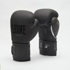 Перчатки боксерские BLACK&WHITE Leone OK-IS59GD Интернет-магазин Ok-Sport.kz