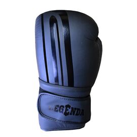 Перчатки боксерские Legenda Elite 3568 Интернет-магазин Ok-Sport.kz