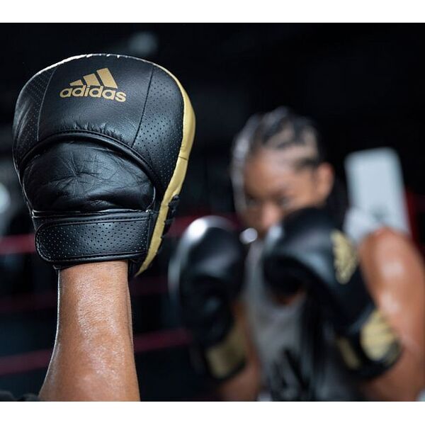 Лапы AdiStar Pro Speed Focus Pad Adidas adiPFP01PRO Интернет-магазин Ok-Sport.kz Лапы AdiStar Pro Speed Focus Pad Adidas adiPFP01PRO Интернет-магазин Ok-Sport.kz