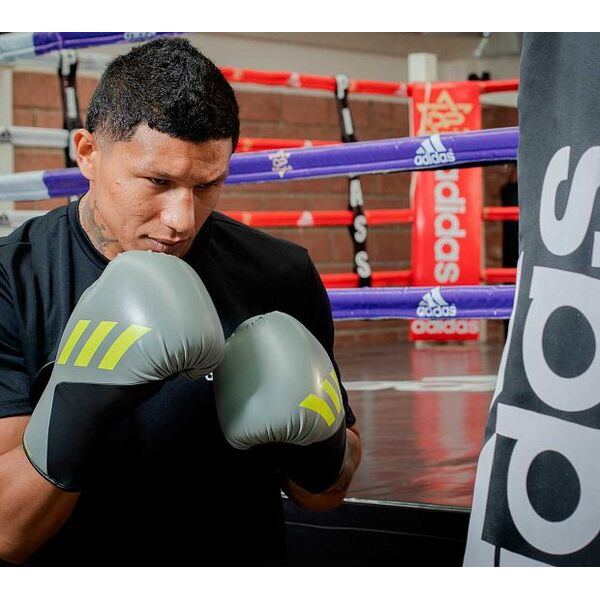 Перчатки боксерские Adidas Speed TILT 150 SPD150TG Интернет-магазин Ok-Sport.kz