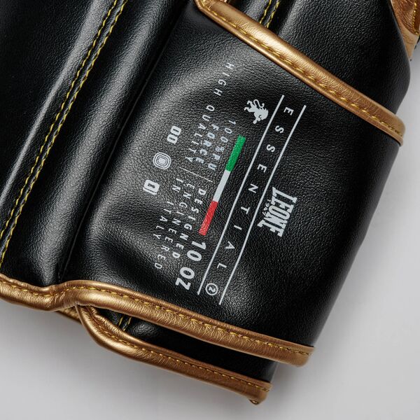 Перчатки боксерские ESSENTIAL 2 Leone GNE02 Интернет-магазин Ok-Sport.kz