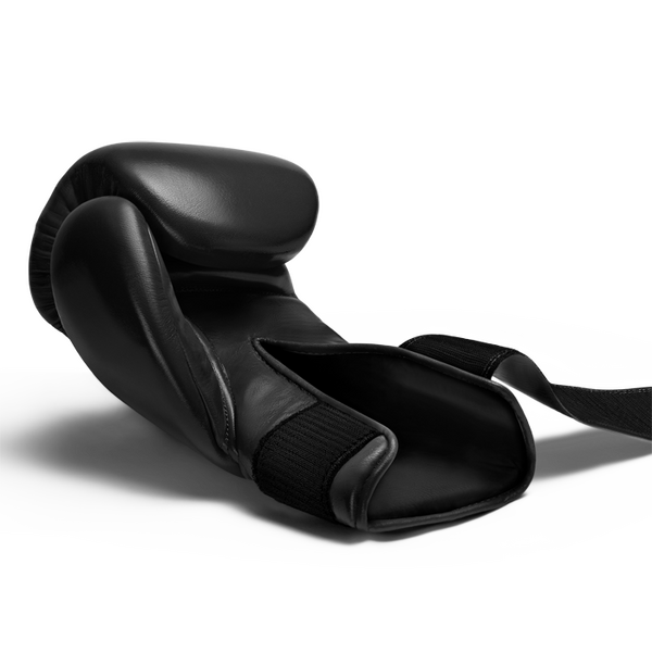 Перчатки боксерские Hayabusa Pro Boxing Gloves PTBGV Интернет-магазин Ok-Sport.kz