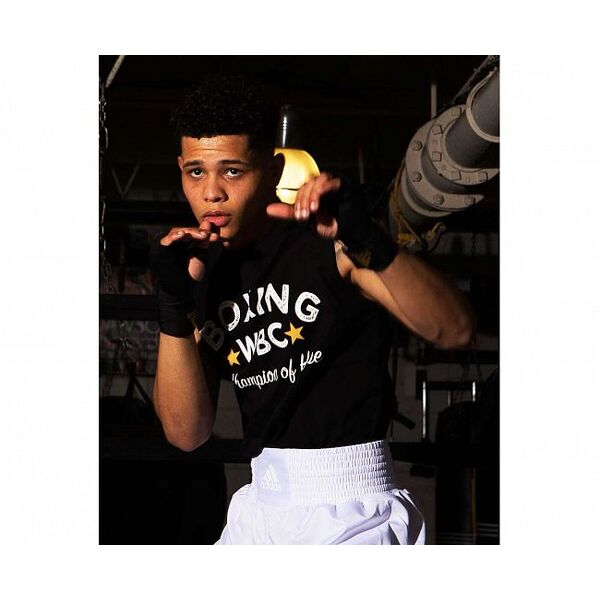 Футболка Boxing Tee WBC Champion Of Hope Adidas adiWBCTB01 Интернет-магазин Ok-Sport.kz