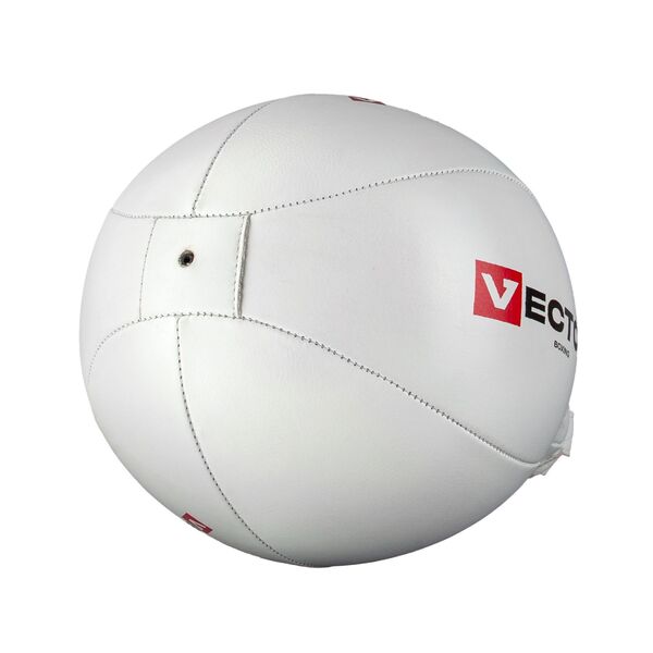 Груша боксерская пневматическая скоростная Speed Ball Vector Boxing VBBA77-VBBA88 Интернет-магазин Ok-Sport.kz