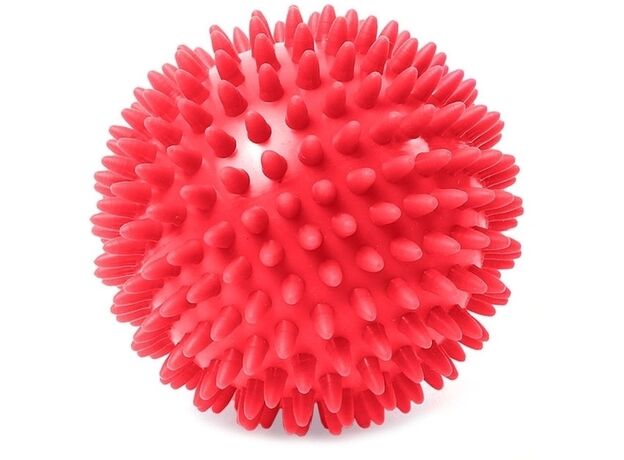 Мяч массажный универсальный, диаметр 6 см Ball-01 Интернет-магазин Ok-Sport.kz